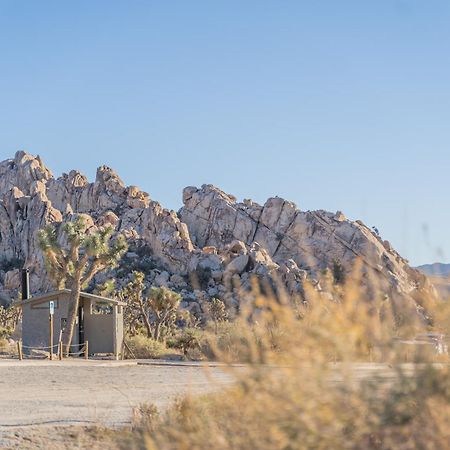 New Property! The Cactus Villas At Joshua Tree National Park - Pool, Hot Tub, Outdoor Shower, Fire Pit Twentynine Palms Buitenkant foto