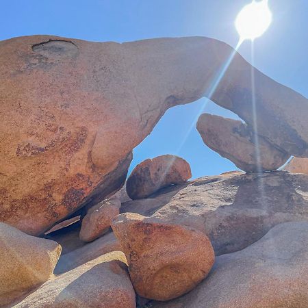New Property! The Cactus Villas At Joshua Tree National Park - Pool, Hot Tub, Outdoor Shower, Fire Pit Twentynine Palms Buitenkant foto