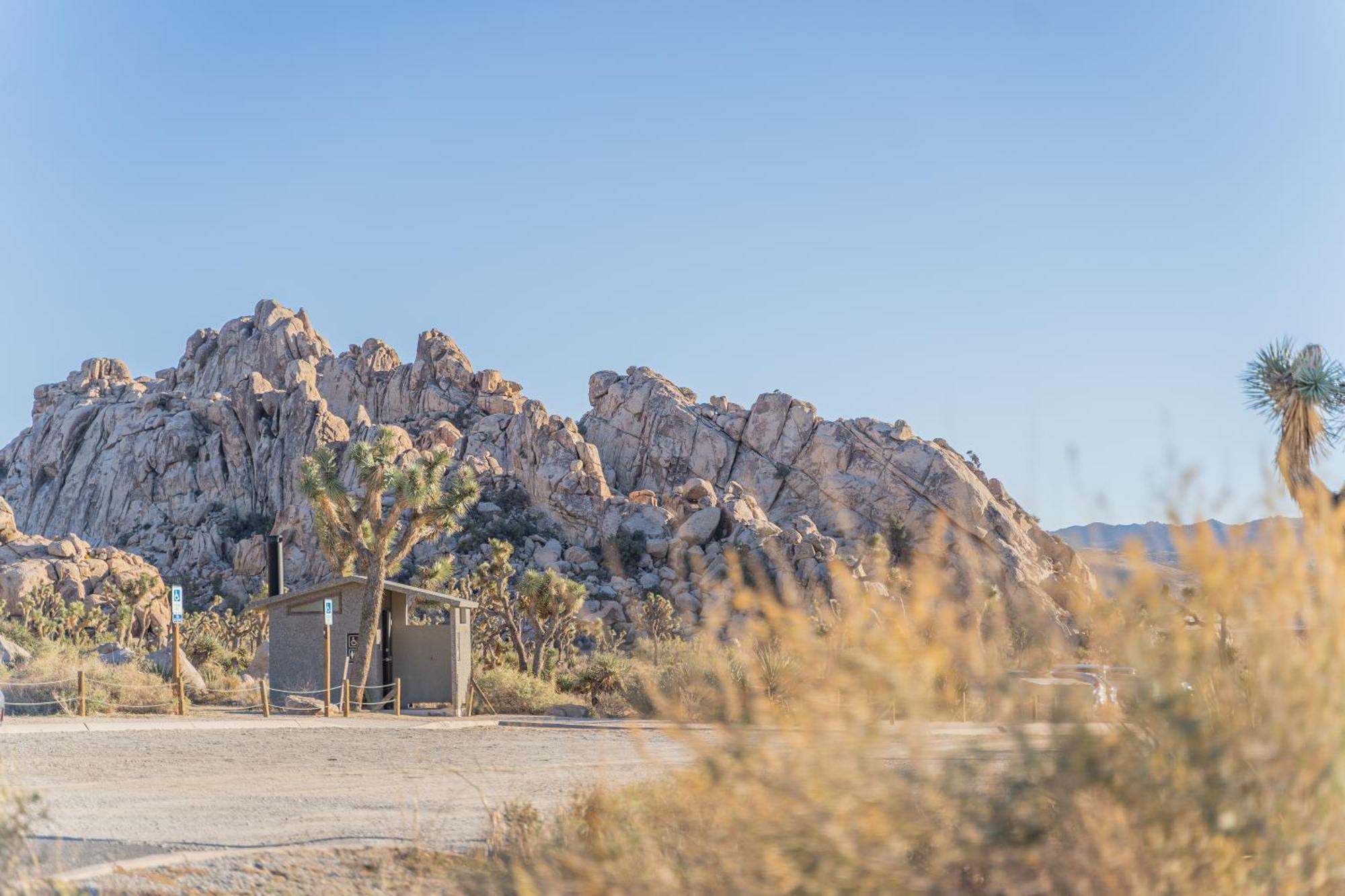 New Property! The Cactus Villas At Joshua Tree National Park - Pool, Hot Tub, Outdoor Shower, Fire Pit Twentynine Palms Buitenkant foto