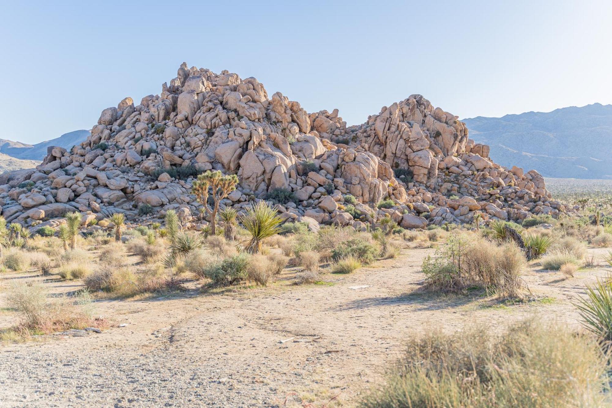 New Property! The Cactus Villas At Joshua Tree National Park - Pool, Hot Tub, Outdoor Shower, Fire Pit Twentynine Palms Buitenkant foto