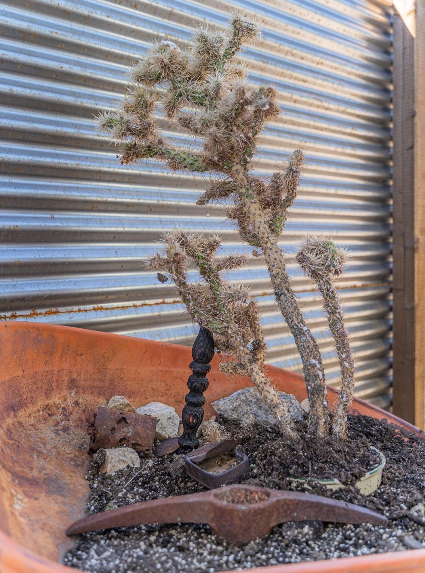 New Property! The Cactus Villas At Joshua Tree National Park - Pool, Hot Tub, Outdoor Shower, Fire Pit Twentynine Palms Kamer foto